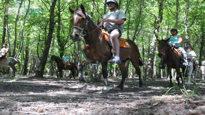 Horse riding in Gundogdu Turkey