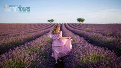 Lavender fields Kızılot Turkey