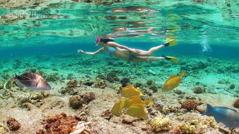 Snorkeling in Side Turkey