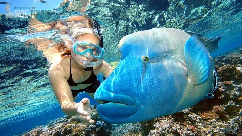 Snorkeling in Side Turkey