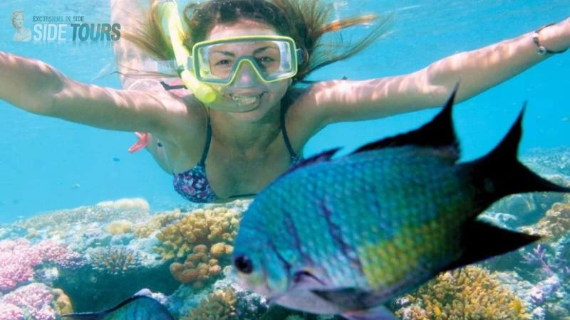 Snorkeling in Side Turkey