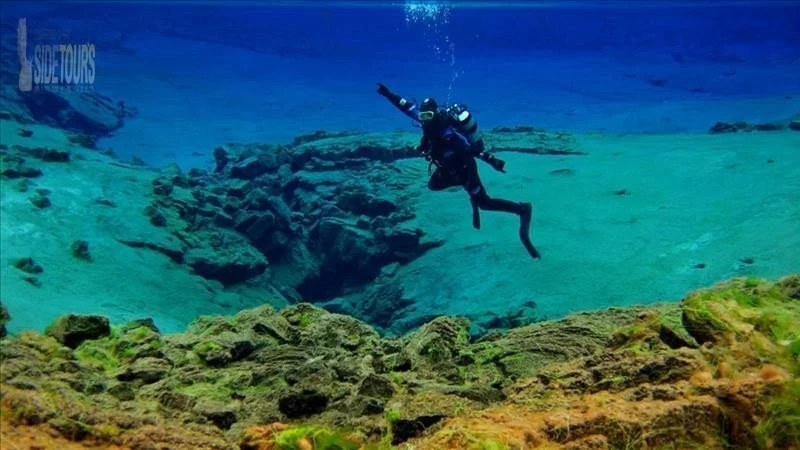 Diving Kızılot
