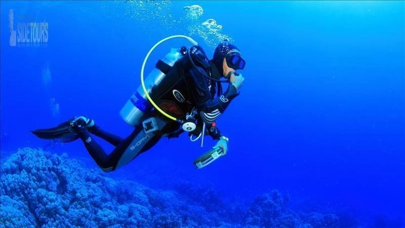 Diving Evrenseki