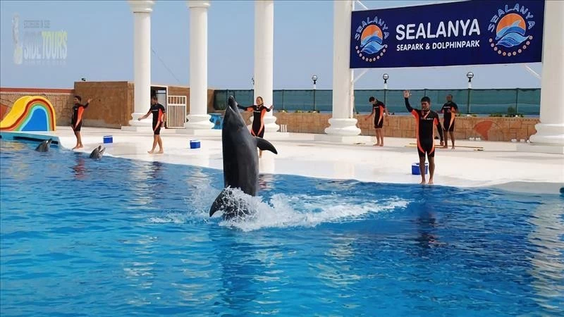 Dolphin park in Çolaklı