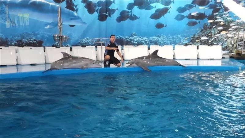 Dolphin park in Titreyengöl