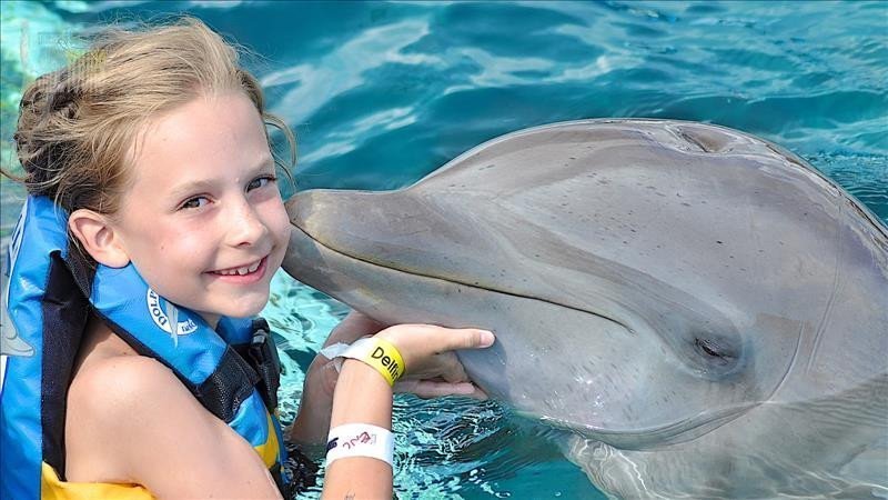 Mit Delfinen Schwimmen Manavgat Türkei - Erlebe Die Erstaunliche Kraft.