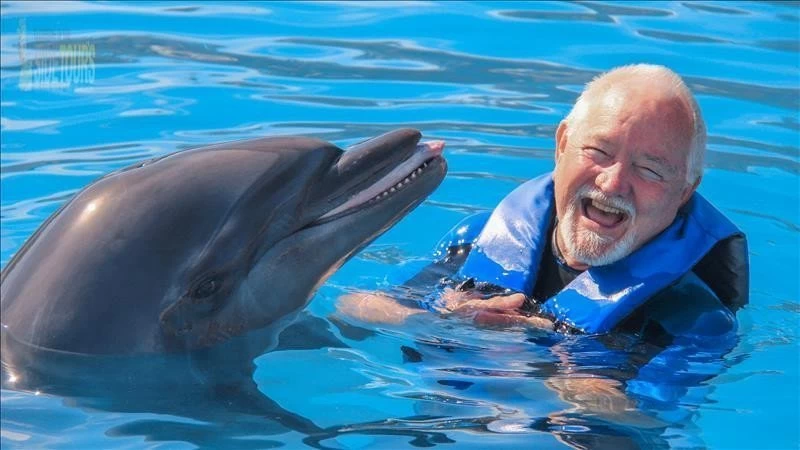 Swim with dolphins in Evrenseki Turkey