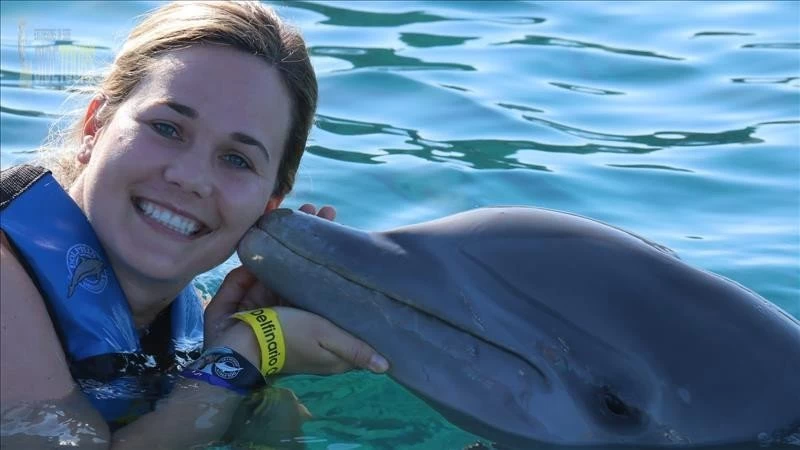 Swim with dolphins in Kızılot Turkey