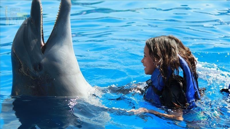 Swim with dolphins in Side Turkey - Feel the incredible energy.